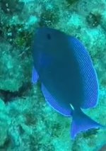 IMG_9470.jpeg
