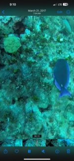 IMG_9468.jpeg