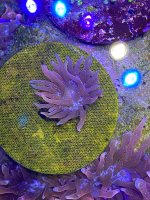 IMG_7640.jpeg