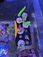 IMG_0761.jpeg