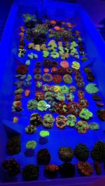 IMG_3297.jpeg