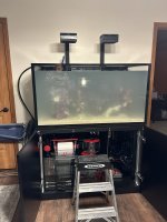 IMG_1784.jpeg