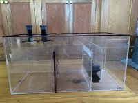 IMG_3159.jpeg