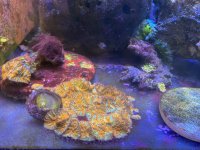 IMG_7505.jpeg