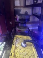IMG_2889.jpeg