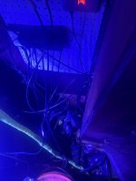 IMG_2886.jpeg