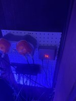 IMG_2885.jpeg
