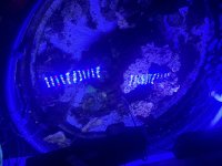 IMG_2882.jpeg