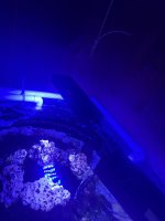 IMG_2884.jpeg