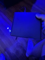 IMG_2995.jpeg