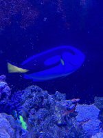IMG_3889.jpeg