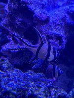 IMG_3877.jpeg