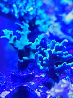 20240622_202256.jpg