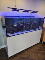reef.jpg