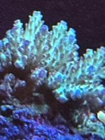 IMG_3395.jpeg