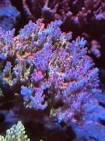 IMG_3392.jpeg