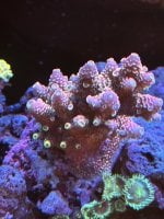 IMG_3394.jpeg