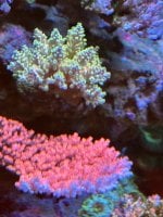 IMG_3390.jpeg