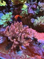 IMG_3391.jpeg