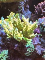 IMG_3387.jpeg