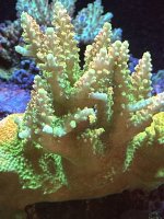 IMG_3388.jpeg