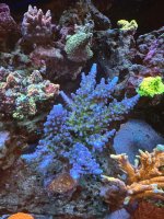 IMG_3384.jpeg