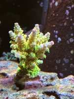 IMG_3381.jpeg