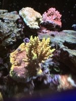IMG_3380.jpeg
