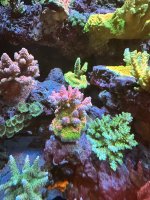 IMG_3386.jpeg