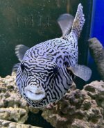 IMG_9084.jpeg