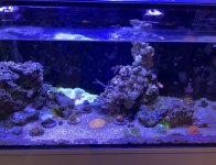 IMG_1494.jpeg
