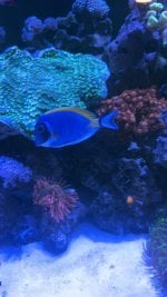 IMG_5398.jpeg