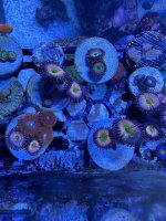 IMG_0292.jpeg