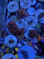 IMG_0293.jpeg