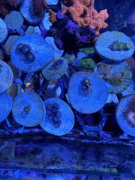 IMG_0291.jpeg