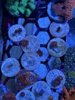 IMG_0294.jpeg