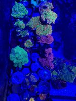 IMG_0448.jpeg