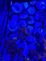 IMG_0449.jpeg