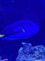 IMG_3882.jpeg