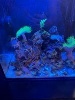 IMG_2280.jpeg