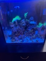IMG_2285.jpeg