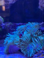 IMG_4997.jpeg