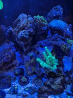 IMG_2291.jpeg