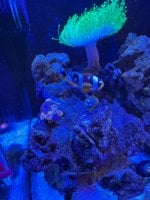 IMG_2289.jpeg