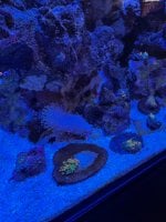 IMG_2290.jpeg