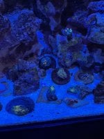IMG_2288.jpeg