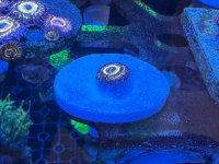 IMG_4106.JPG