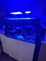 IMG_3611.jpeg