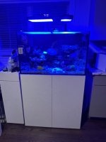 IMG_3609.jpeg