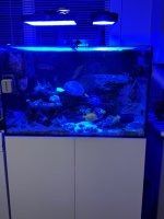 IMG_3610.jpeg